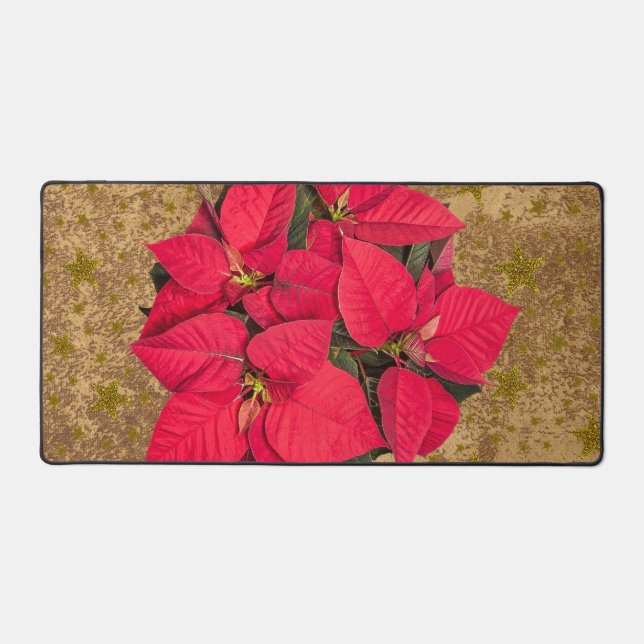 Fleur de Noël rouge, étoiles d'or sur papier abstr (Recto)