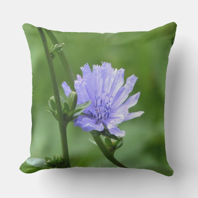 Fleur de périphérie et Coussin extérieur vert (Recto)
