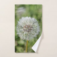 Fleur de pissenlit blanc sur herbe verte
