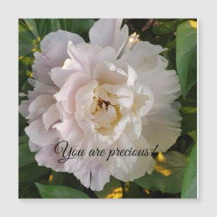 fleur de pivoine