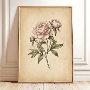 Fleur de Pivoine Vintage Art Mural - Décoration de