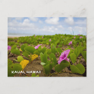 Fleur de plage Tropical Hawaii Carte postale Kau