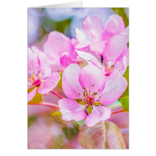 Fleur de pomme rose