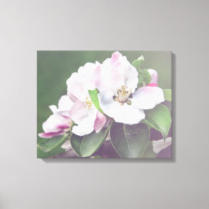 Fleur de pommier sur toile de printemps Art mural