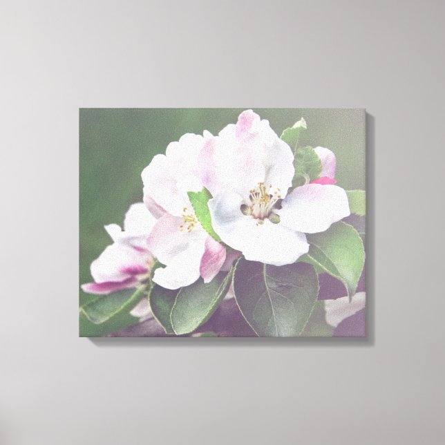 Fleur de pommier sur toile de printemps Art mural (Recto)