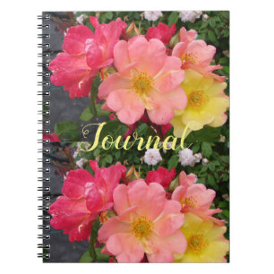 Fleur de rose jaune rouge Floral Journal Rose