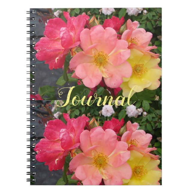 Fleur de rose jaune rouge Floral Journal Rose (Devant)