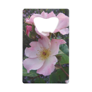 Fleur de rose sauvage rose Photo florale