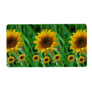 Fleur de soleil Étiquette