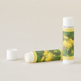 Fleur de soleil jaune fleurie Bleu reflet de lèvre