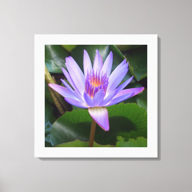 Fleur de toile Art-Lotus (Recto)