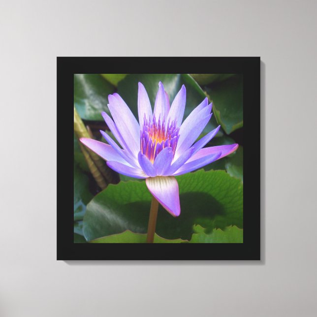 Fleur de toile Art-Lotus (Recto)