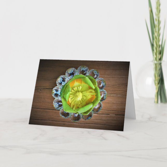 Fleur de tulipier, carte (Devant)