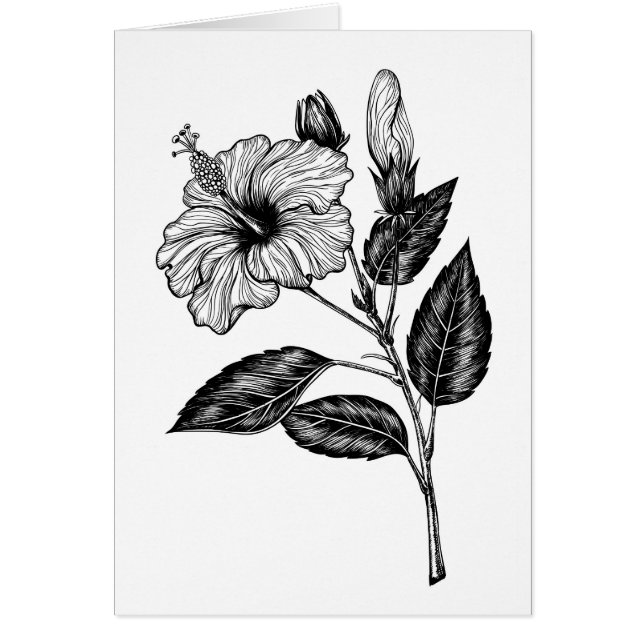 Fleur d'Hibiscus III (Devant)