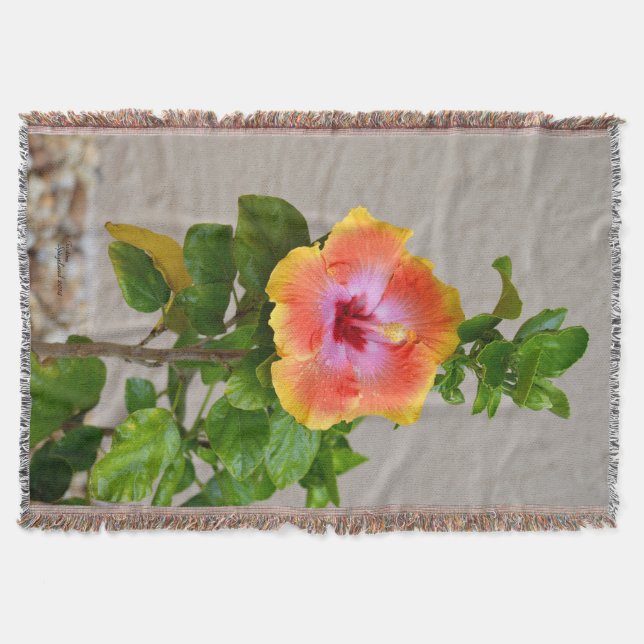Fleur d'Hibiscus rose orange Jeter la couverture (Devant)