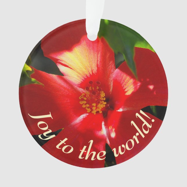 Fleur d'Hibiscus rouge au soleil (devant)