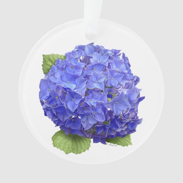 Fleur d'hortensia bleue (devant)