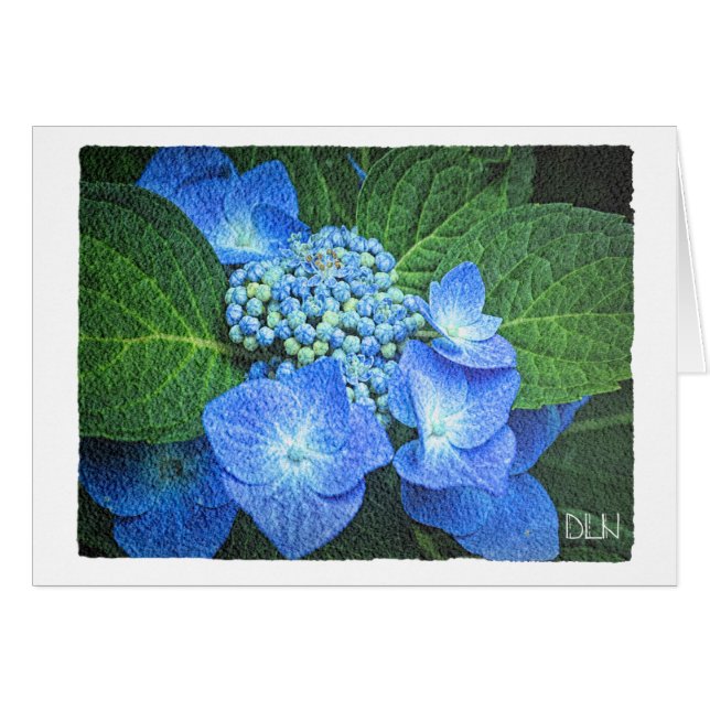 Fleur d'Hydrangée Bleue/Floral/Aquarelle (Devant Horizontal)