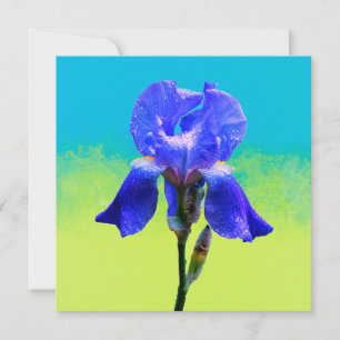 Fleur d'iris
