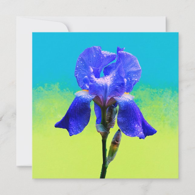 Fleur d'iris  (Devant)