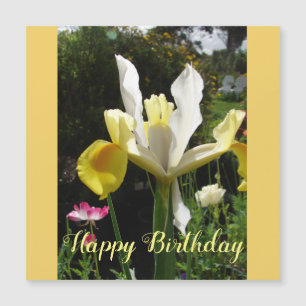 Fleur d'Iris Jaune Floral Irises d'anniversaire