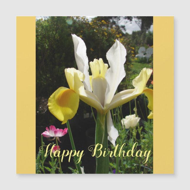 Fleur d'Iris Jaune Floral Irises d'anniversaire (Devant)