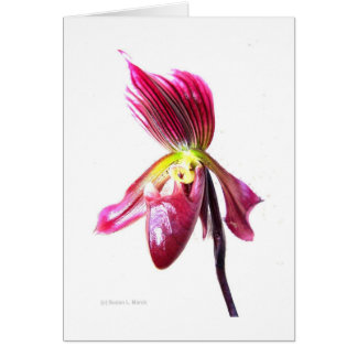 Fleur d'orchidée mauve à glissière contre le dos b
