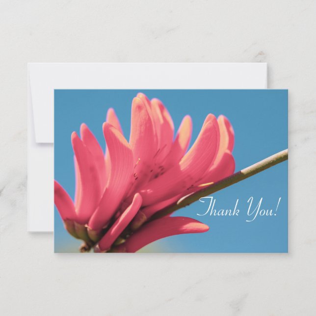 Fleur Erythrina rose pâleMerci Carte Plat (Devant)