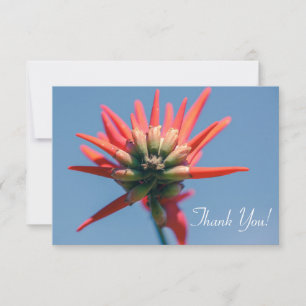 Fleur Erythrina rose pâleMerci Carte Plat