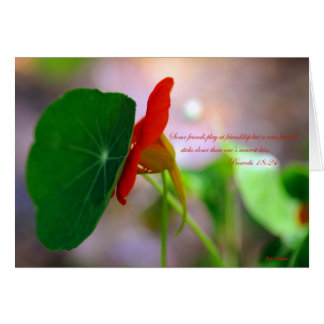 Fleur et Plante se penchent l'un sur l'autre.