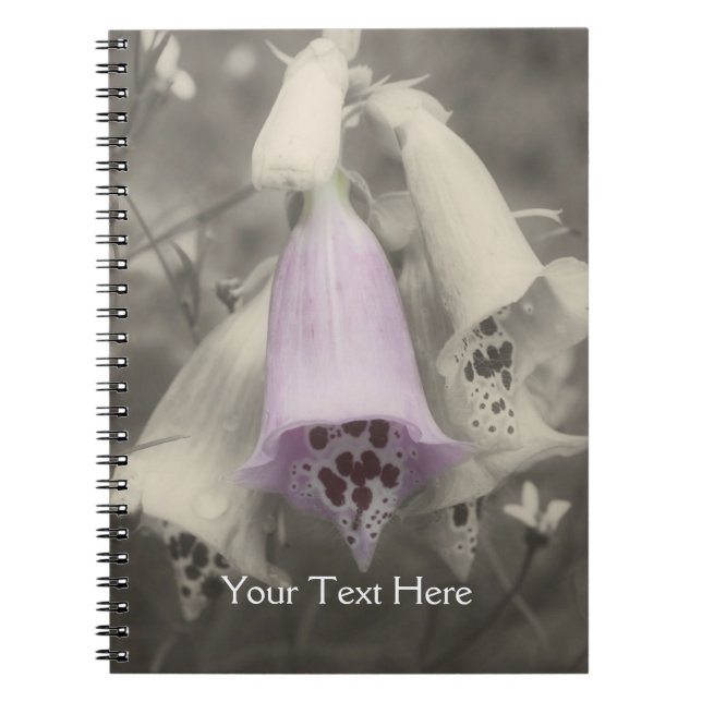 Fleur Foxglove Rose En Carnet Noir Et Blanc (Devant)