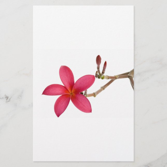 Fleur Frangipani rouge (Devant)