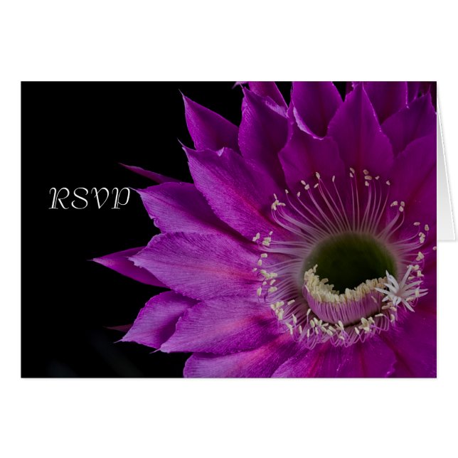 Fleur Fuchsia Cactus RSVP (Devant Horizontal)