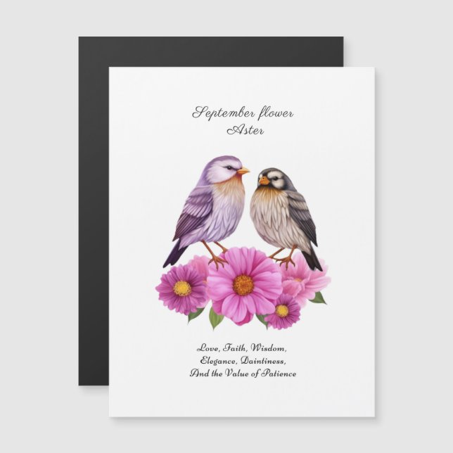 Fleur glorieuse de septembre - Aster (Devant / Derrière)