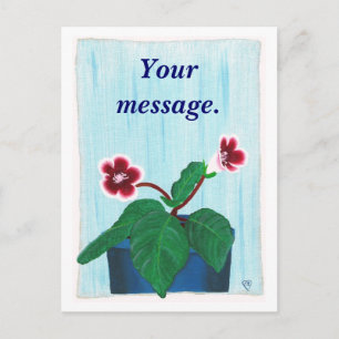 Fleur Gloxinia, Votre message, Cartes postales