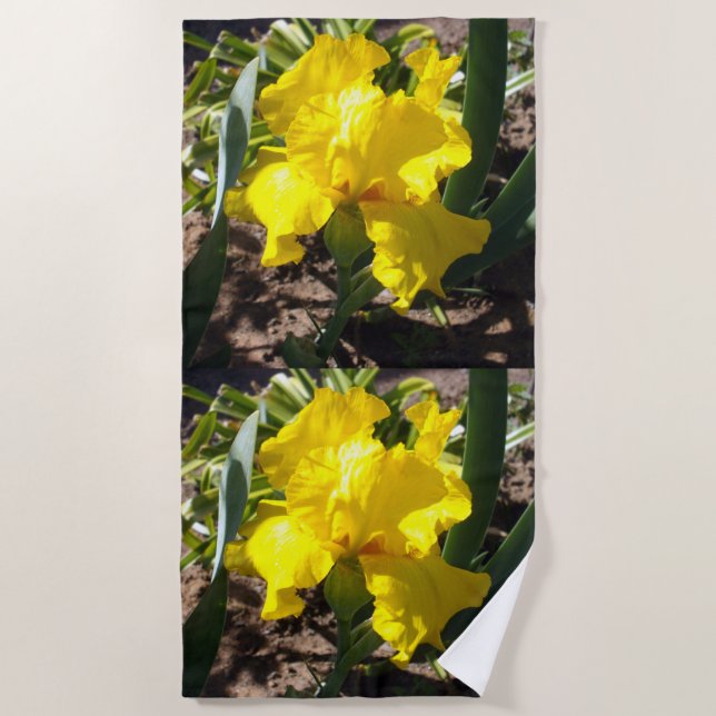Fleur Iris Jaune, Serviette De Plage (Devant)