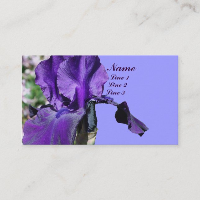 Fleur Iris violet vers le haut Carte de visite (Devant)