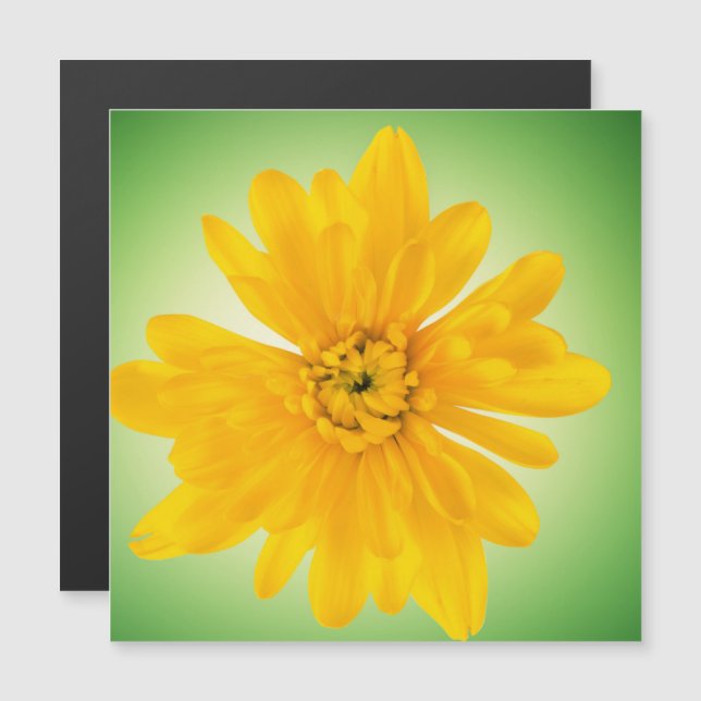 Fleur jaune (Devant / Derrière)
