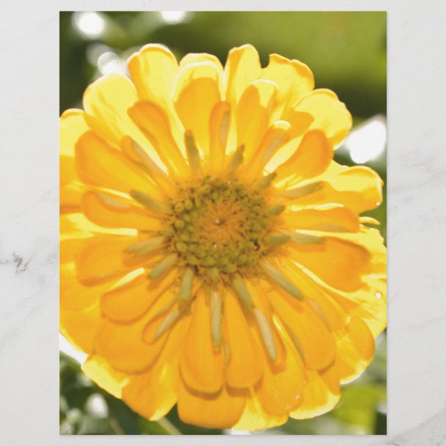 Fleur jaune boho (Devant)