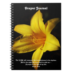 Fleur Jaune Fleur Foi Bible Prière Journal