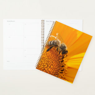 Fleur Jaune Lumineuse Et Abeille De Miel