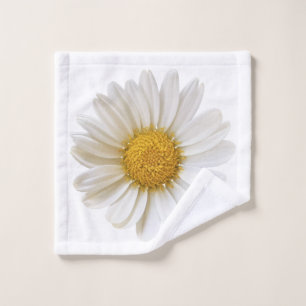 Fleur marguerite blanche