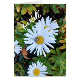 Fleur marguerite blanche avec une carte Bee Get We