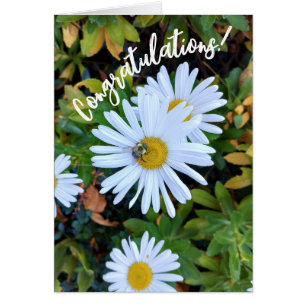 Fleur marguerite blanche avec une carte de félicit