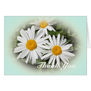 fleur marguerite blanche sauvage merci