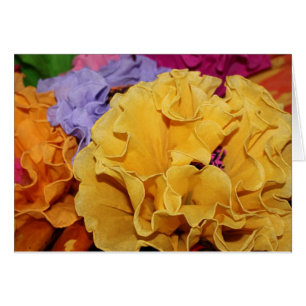Fleur mexicaine Fiesta
