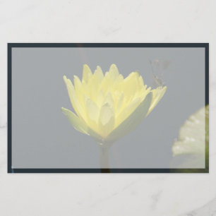 Fleur Nénuphar Lotus Jaune