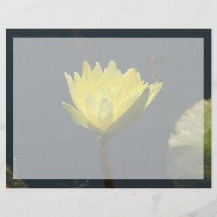 Fleur Nénuphar Lotus Jaune