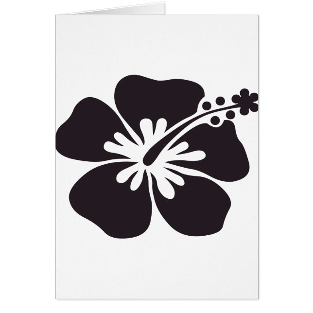 fleur noire de ketmie (Devant)