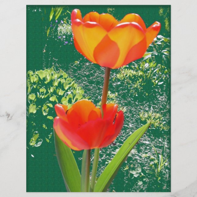 Fleur orange (Devant)